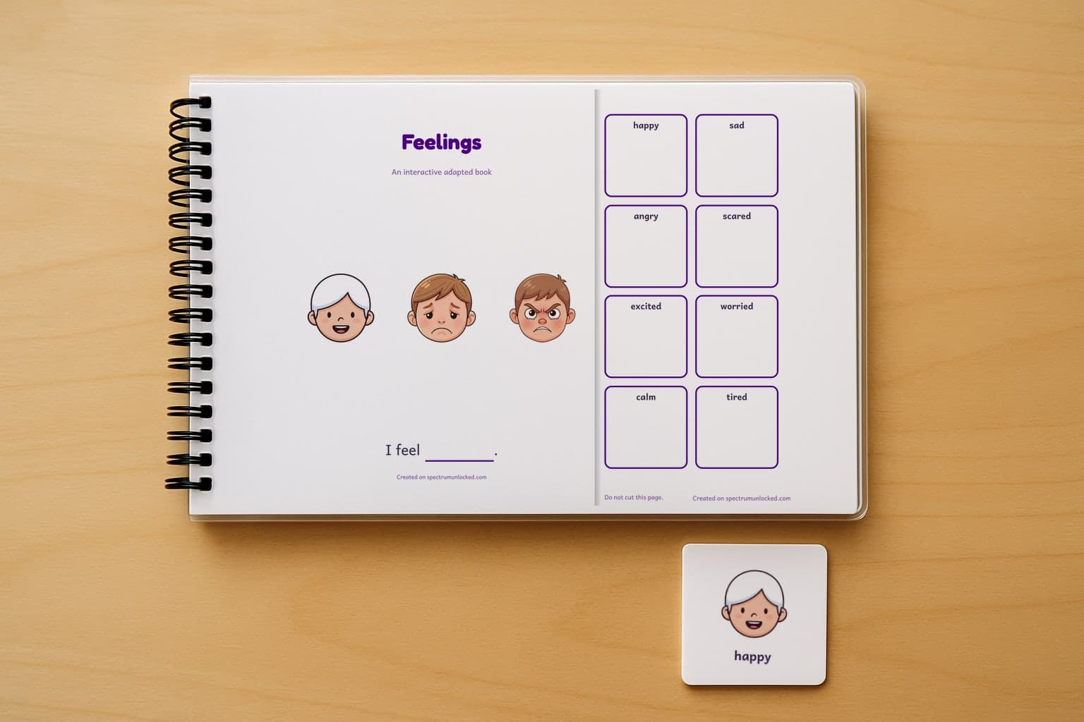 The Feelings adapted book closed on a table, its cover facing up, one picture card beside it