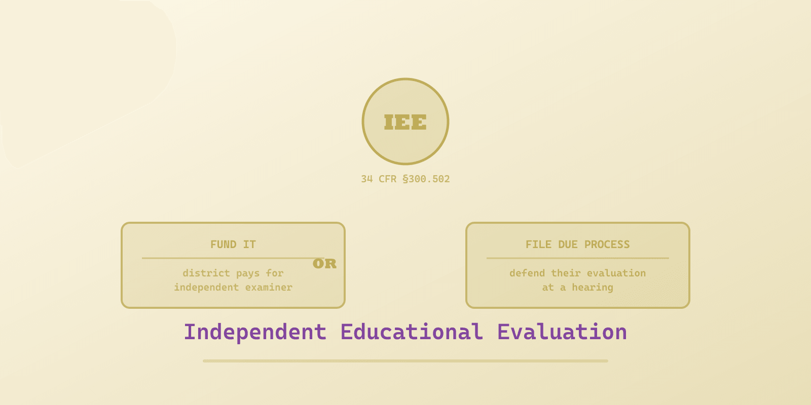 Illustrated cover for 'Independent Educational Evaluation (IEE)', a Spectrum Unlocked Education guide