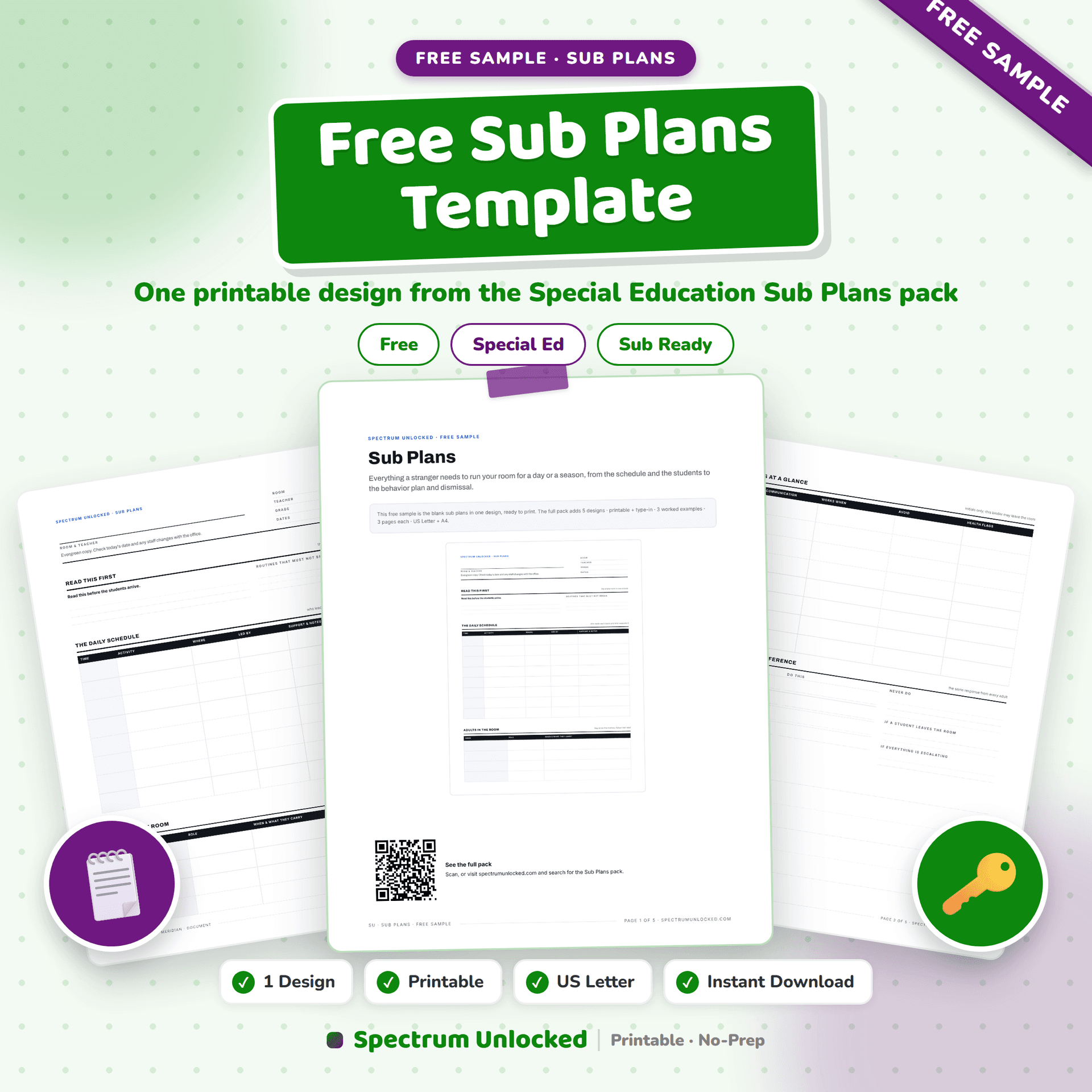 Special Education Sub Plans Template free sample preview