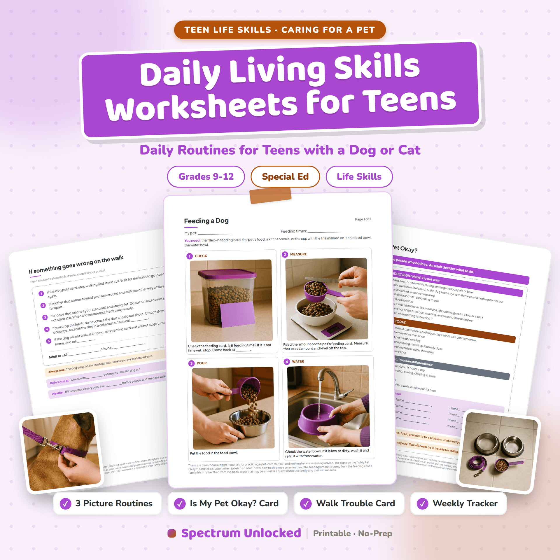 Pet Care Routines for Teens cover, showing a feeding routine, the walking card and the Is My Pet Okay card