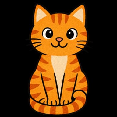 A cat
