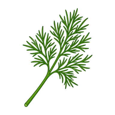 dill