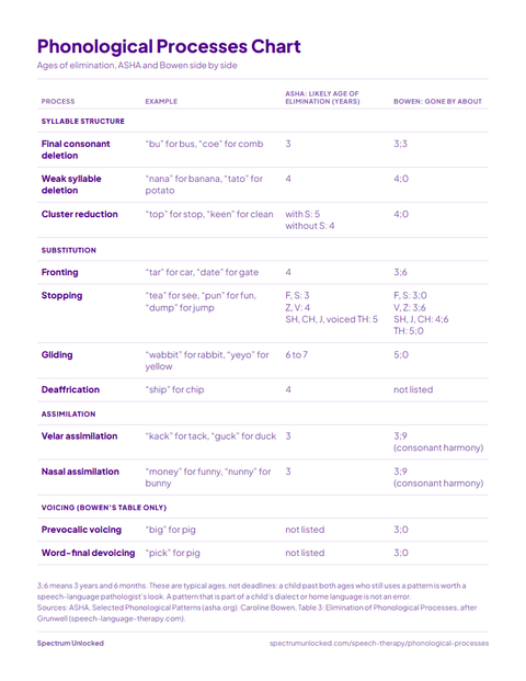 Phonological Processes Chart preview